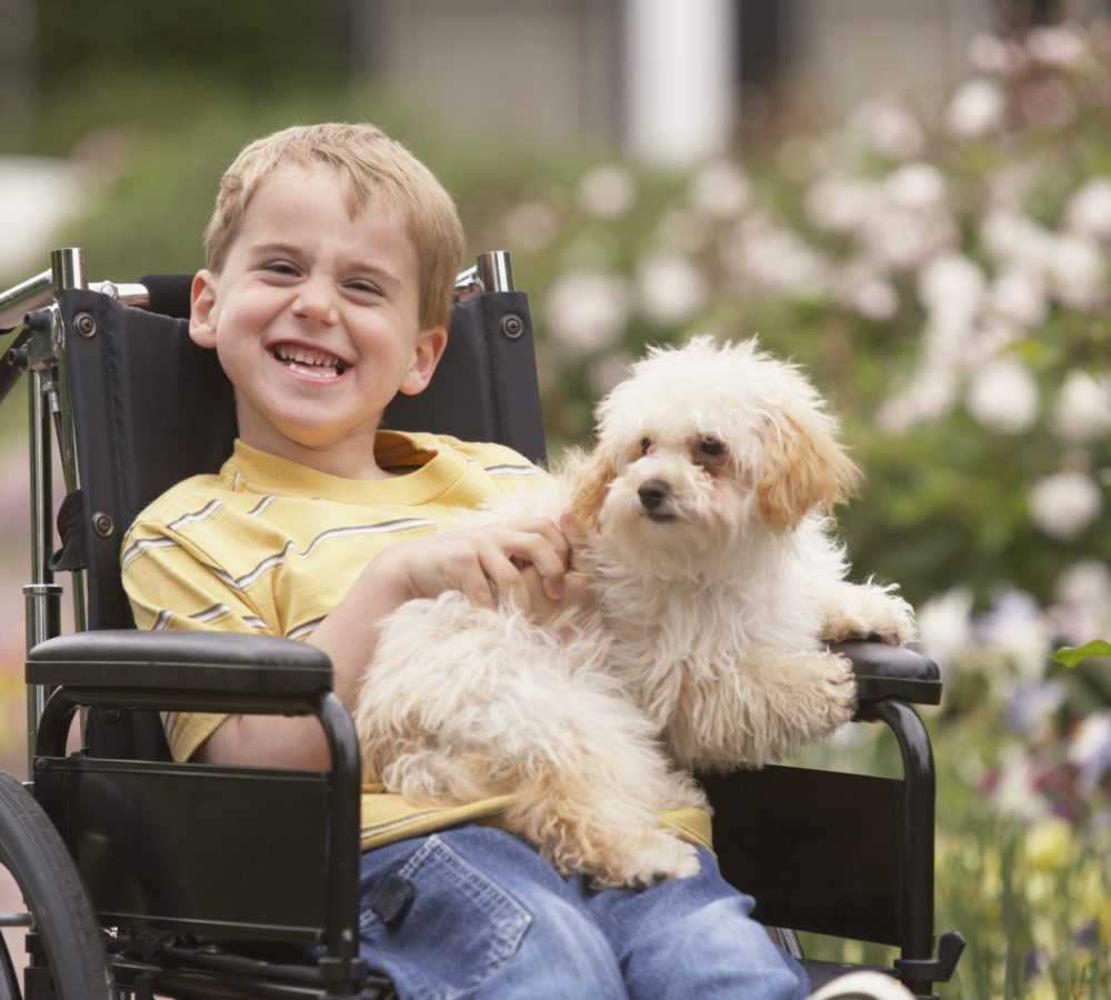 Young boy in wheelchair smiling and holding dog